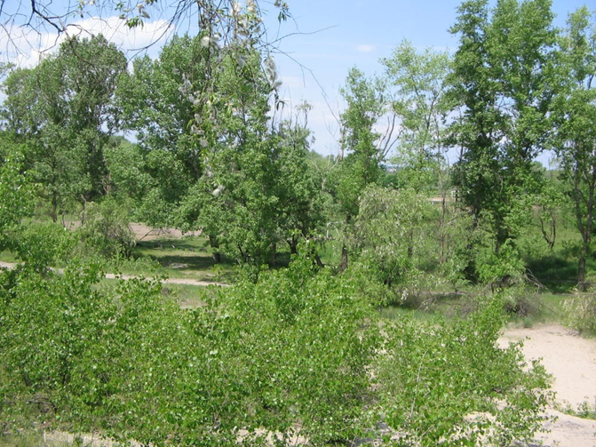 Земельна ділянка в місті Києві площею 113,5298 га та основні засоби, а саме:- Земельна ділянка для будівництва, експлуатації та обслуговування житлових будинків та об`єктів соціально-культурного призначення, площею 113,5298 га, кадастровий номер 8000000000:78:139:0055, Київська обл., м. Київ, вул. Озерна (вул. Богатирська/Північна); реєстраційний номер в ДРРП на нерухоме майно 831586680000, інв. №56191;- Основні засоби у кількості  9 одиниць.                                                                                                                                                                                                                                                                                                                                                                                                                                                                Продаж здійснюється із застосуванням акредитивної та грошової форми розрахунків.