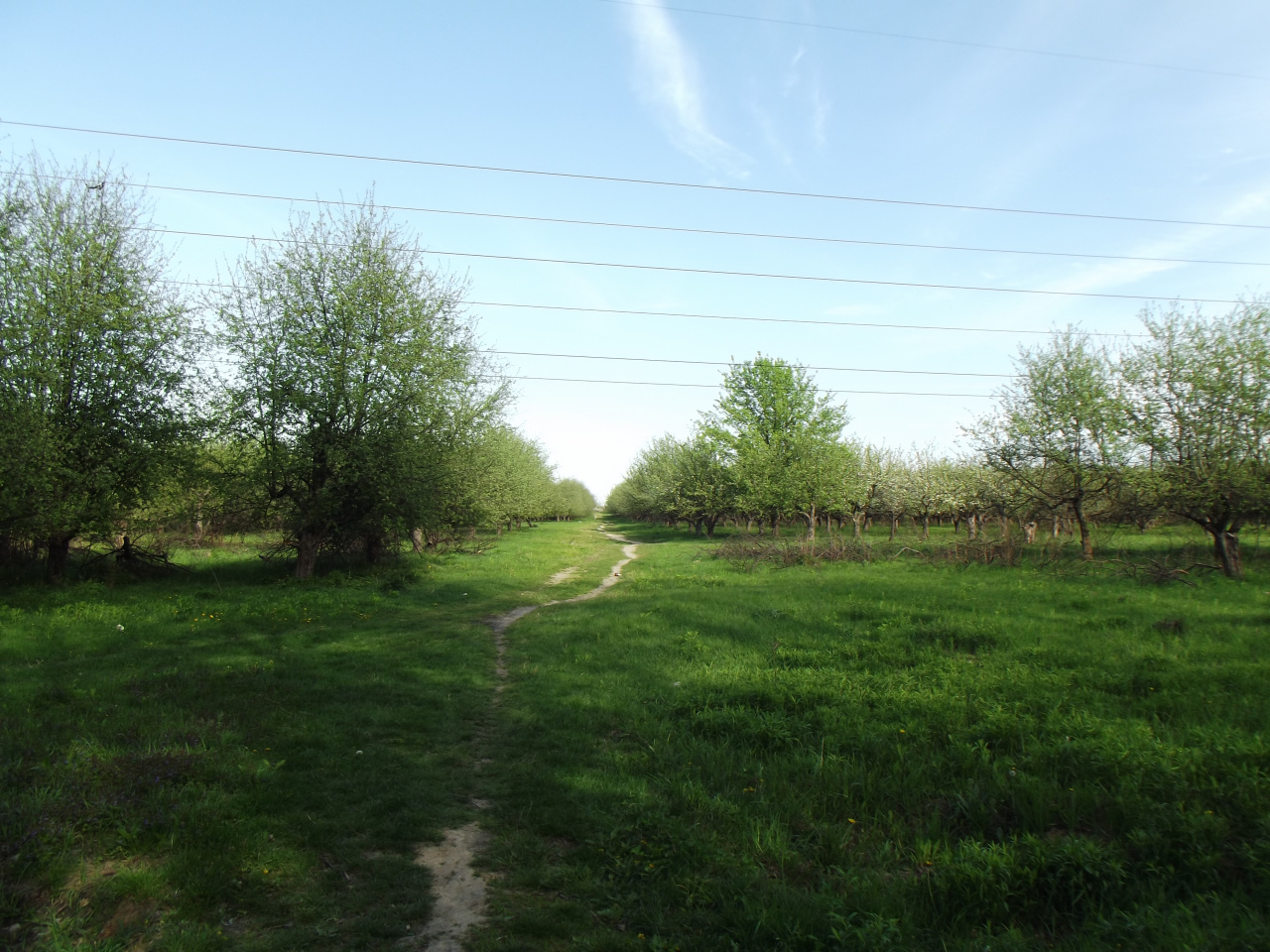 Земельна ділянка, пл. 1,11 га за адресою: Київська обл.,Києво-Святошинський р-н, Тарасівська с/р, кад.3222486600:05:002:0074 ін.номер (309036) та Майно (товарно-матеріальні цінності), у кількості 35 одиниць,  що знаходяться на складі у м. Чернігів