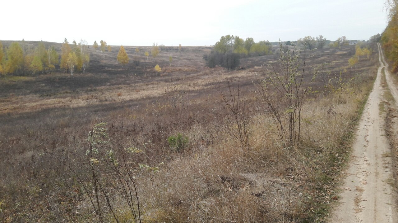 Земельна ділянка 3223186800:07:020:0168 для індивідуального садівництва площею 0,12 га за адресою:   Київська обл., Обухівський р-н, с/рада Підгірцівська, садівницьке  товариство "Захист"