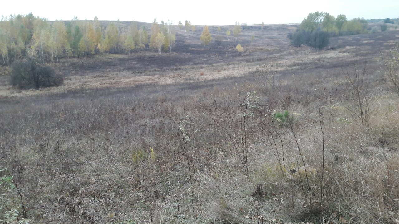 Земельна ділянка 3221482801:01:010:0030 для будівництва і обслуговування житлового будинку, господарських будівель і споруд (присадибна ділянка) площею 0,1855 га за адресою: Київська обл., Васильківський р., с.Застугна, вул.Л. Українки.