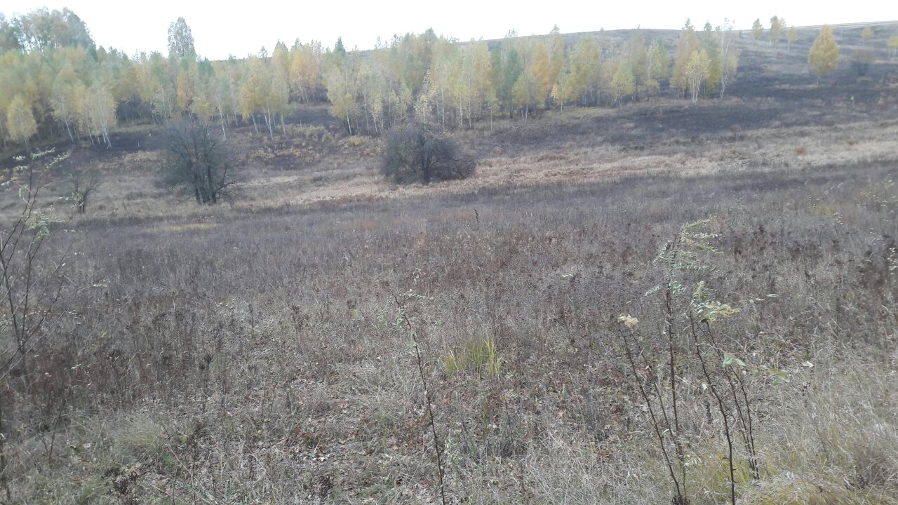 Земельна ділянка 3221482801:01:010:0030 для будівництва і обслуговування житлового будинку, господарських будівель і споруд (присадибна ділянка) площею 0,1855 га за адресою: Київська обл., Васильківський р., с.Застугна, вул.Л. Українки.