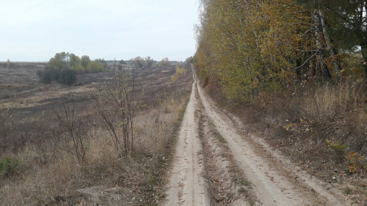 Земельна ділянка 3223186800:07:020:0168 для індивідуального садівництва площею 0,12 га за адресою:   Київська обл., Обухівський р-н, с/рада Підгірцівська, садівницьке  товариство "Захист"