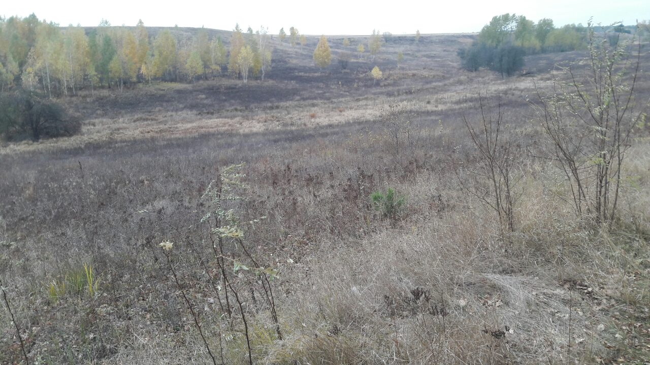 Земельна ділянка 3221482801:01:011:0010 для будівництва і обслуговування житлового будинку, господарських будівель і споруд (присадибна ділянка) площею 0,2196 за адресою: Київська обл., Васильківський р., с.Застугна, вул.Лесі Українки ,145-А, інв. № 30906