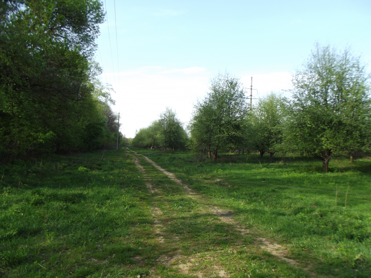 Зем.ділянка, пл.0,06 га, за адресою: Одеська обл.,Овідіопольський р.,с/рада Новодолинська, садівничий кооператив "Весна", вул.Затишна,буд.121, кад. 5123783200:01:003:1020 та Основні засоби в кількості 10 одиниць