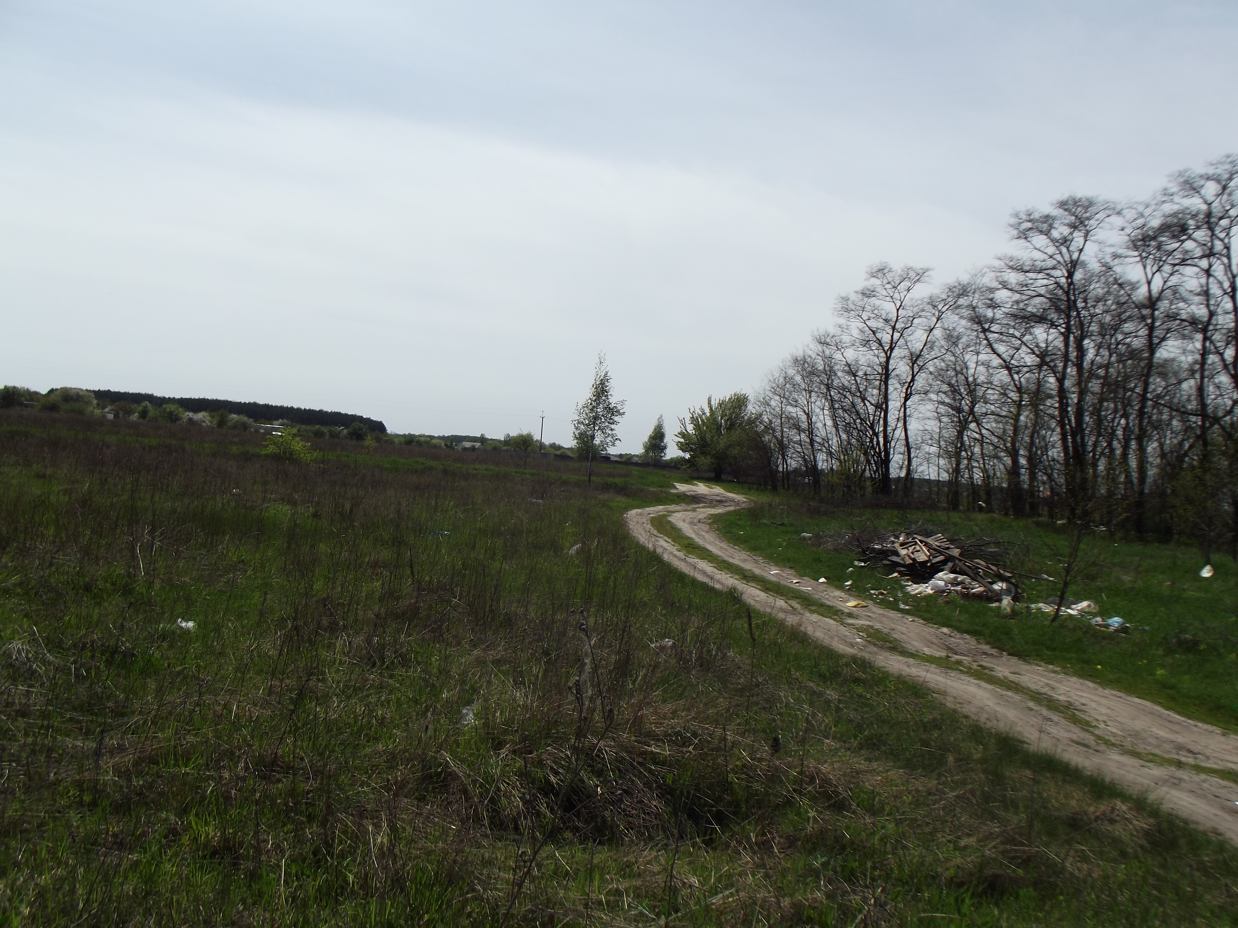 Земельна ділянка для ведення індивідуального садівництва площею 1,3523 га, Київська область, Макарівський р-н, Гавронщинська с/р кадастровий 3222781800:02:008:0008(інв. № 309013)