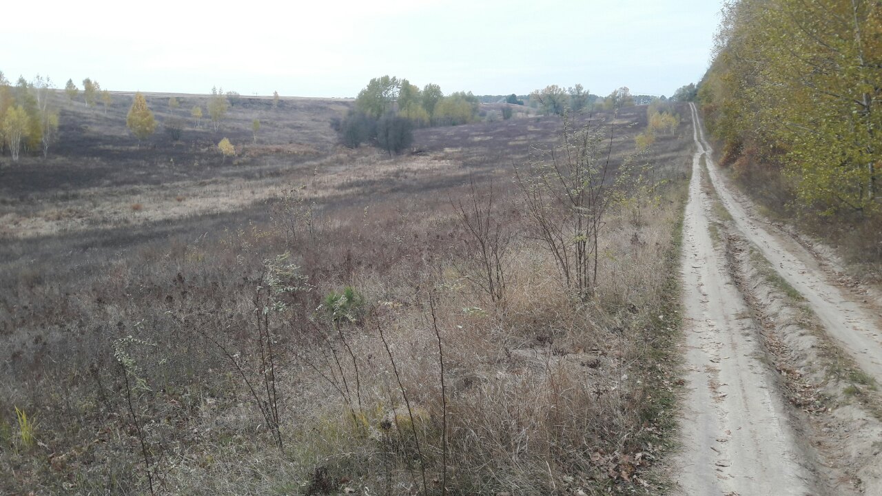 Земельна ділянка 3221482801:01:010:0029 для будівництва і обслуговування житлового будинку, господарських будівель і споруд (присадибна ділянка) площею 0,2055 га за адресою: Київська обл.,Васильківський р.,с.Застугна,вул.Лесі Українки, інв. № 309064